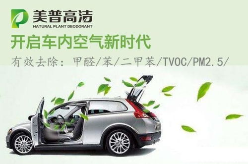 健康不容忽視 車里 有味兒 該咋治 有健康意識的都來看看 汽車 網(wǎng)